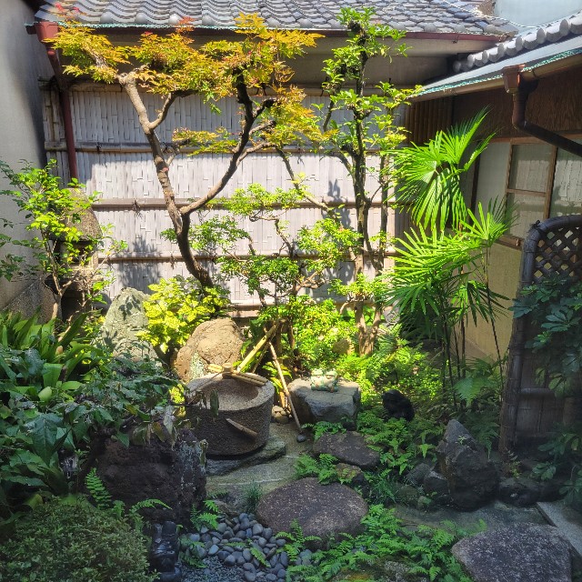 f:id:atoriatoriatori:20240921201903j:image