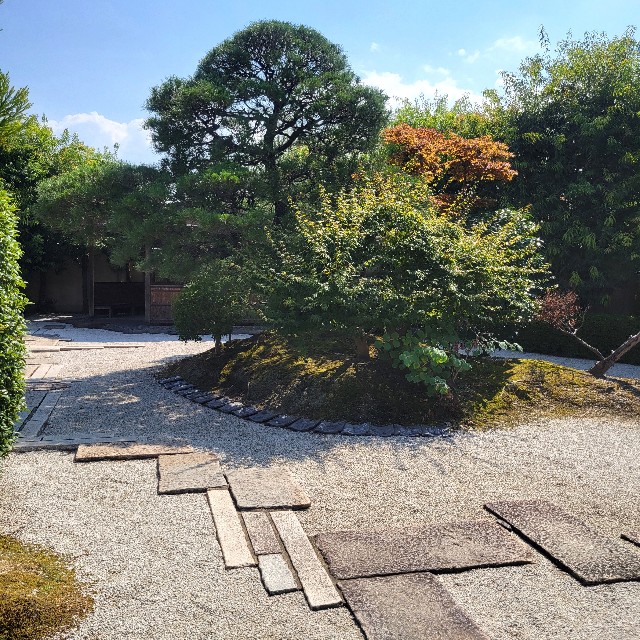 f:id:atoriatoriatori:20240924090707j:image