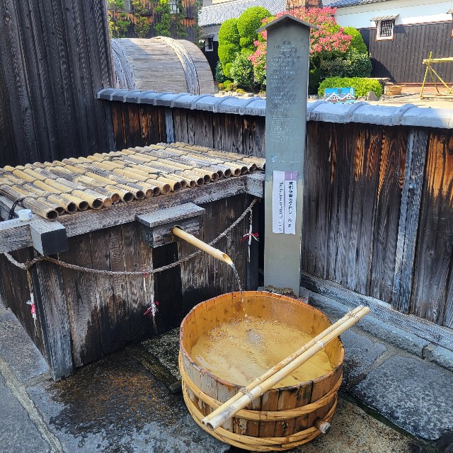 f:id:atoriatoriatori:20240924095046j:image