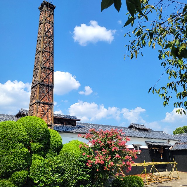 f:id:atoriatoriatori:20240924102848j:image