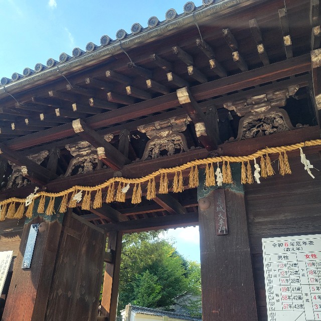 f:id:atoriatoriatori:20240925101311j:image