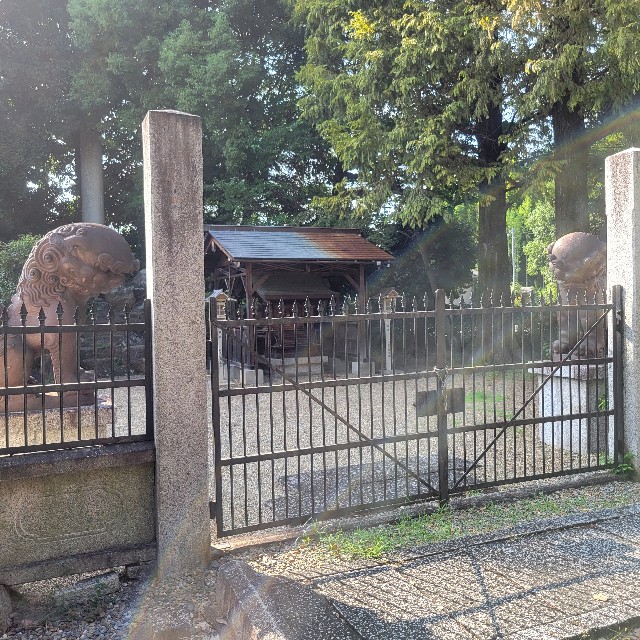 f:id:atoriatoriatori:20240925101953j:image