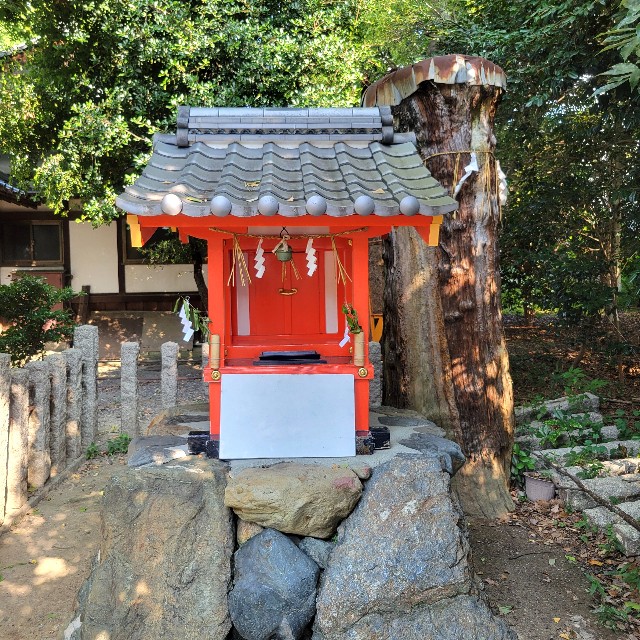 f:id:atoriatoriatori:20240925112404j:image