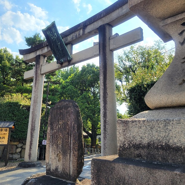 f:id:atoriatoriatori:20240925112413j:image