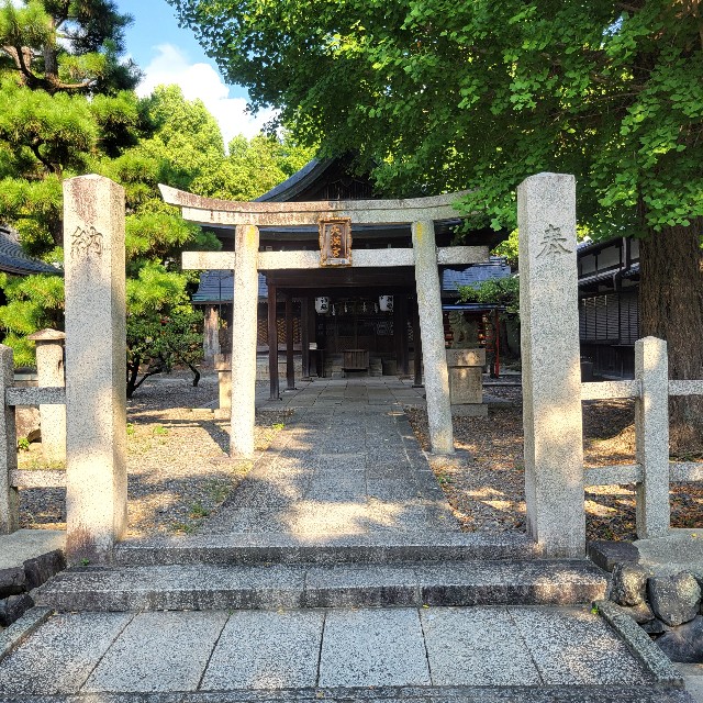 f:id:atoriatoriatori:20240925112736j:image