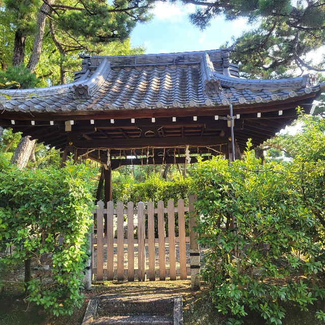 f:id:atoriatoriatori:20240925123610j:image