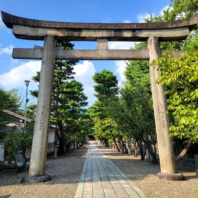 f:id:atoriatoriatori:20240925125349j:image