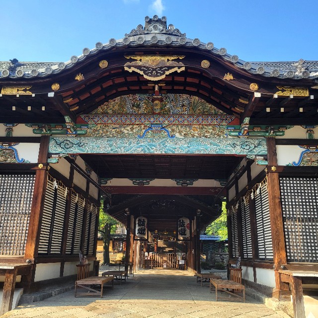 f:id:atoriatoriatori:20240925125725j:image