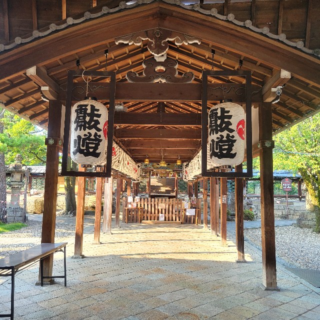 f:id:atoriatoriatori:20240925125802j:image