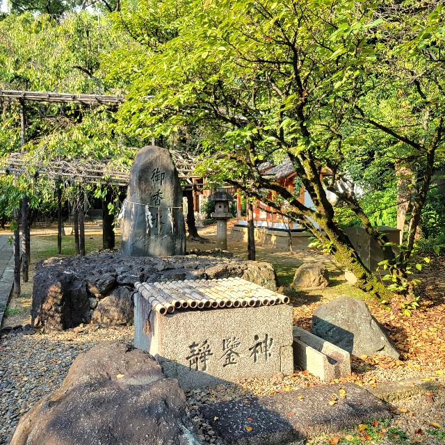 f:id:atoriatoriatori:20240925125906j:image