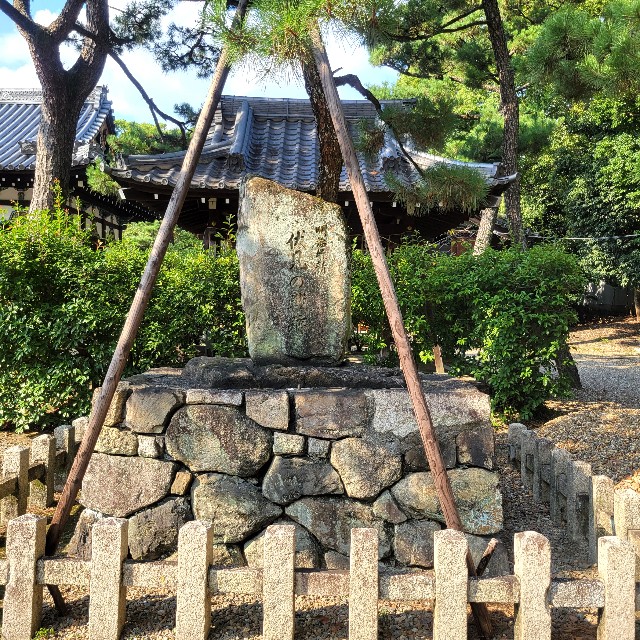 f:id:atoriatoriatori:20240925142737j:image