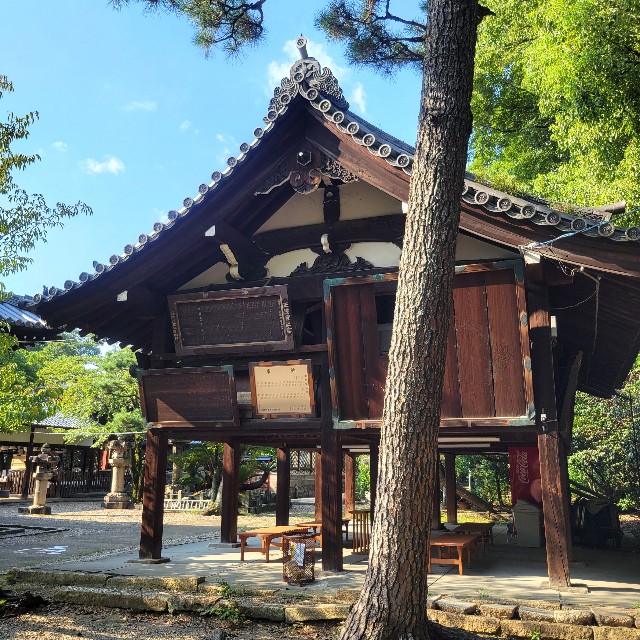 f:id:atoriatoriatori:20240925145253j:image