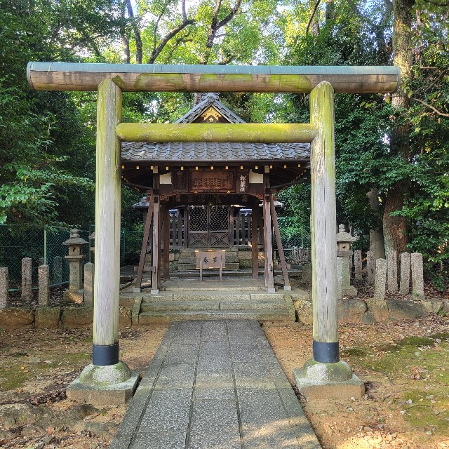 f:id:atoriatoriatori:20240925150332j:image
