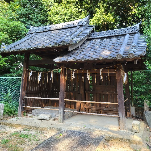 f:id:atoriatoriatori:20240925155213j:image