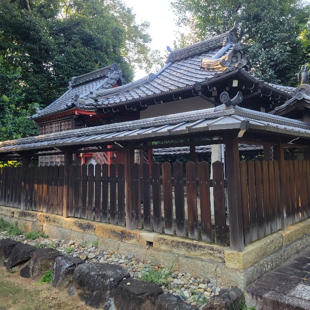 f:id:atoriatoriatori:20240925165034j:image