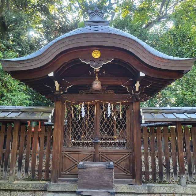 f:id:atoriatoriatori:20240925165326j:image