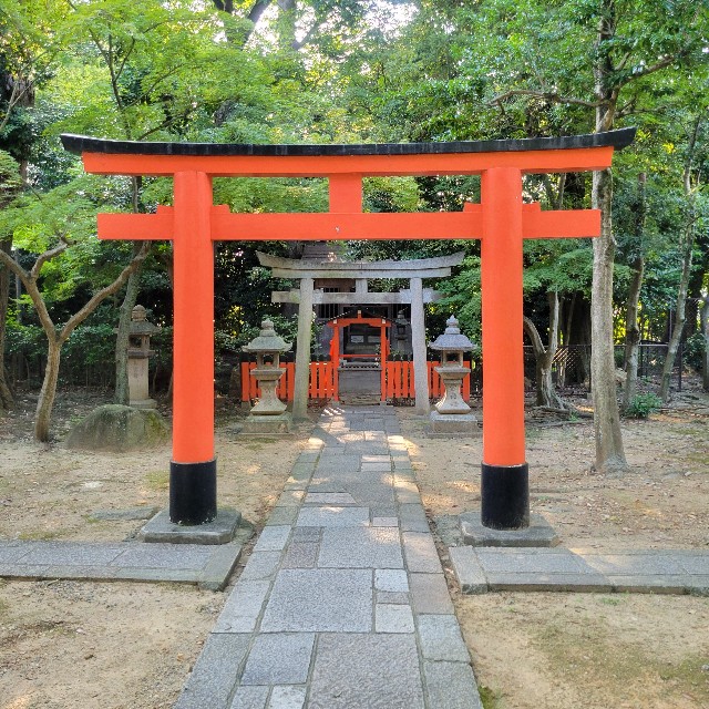 f:id:atoriatoriatori:20240926082057j:image