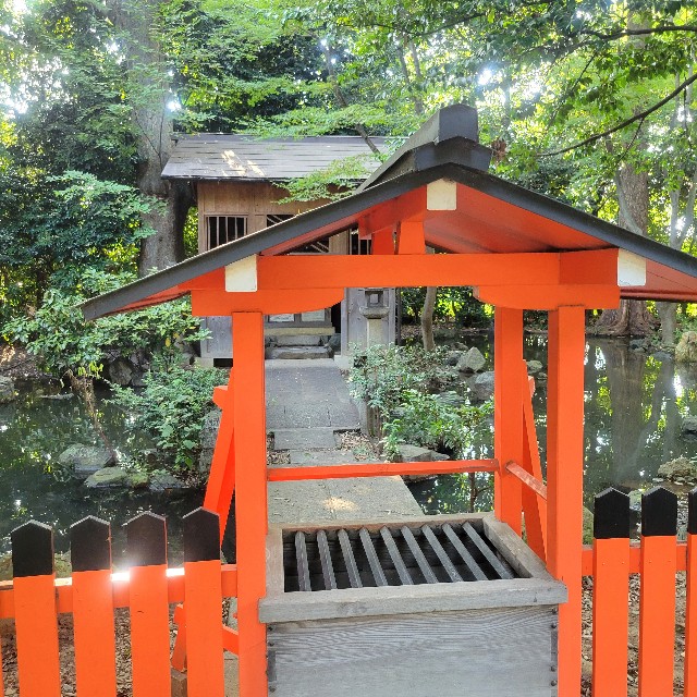 f:id:atoriatoriatori:20240926082104j:image