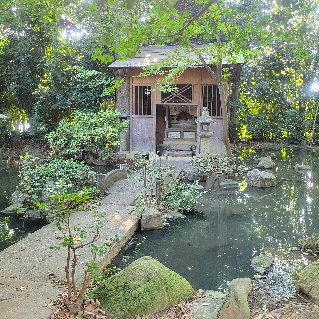 f:id:atoriatoriatori:20240926082120j:image