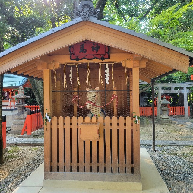 f:id:atoriatoriatori:20240926082311j:image