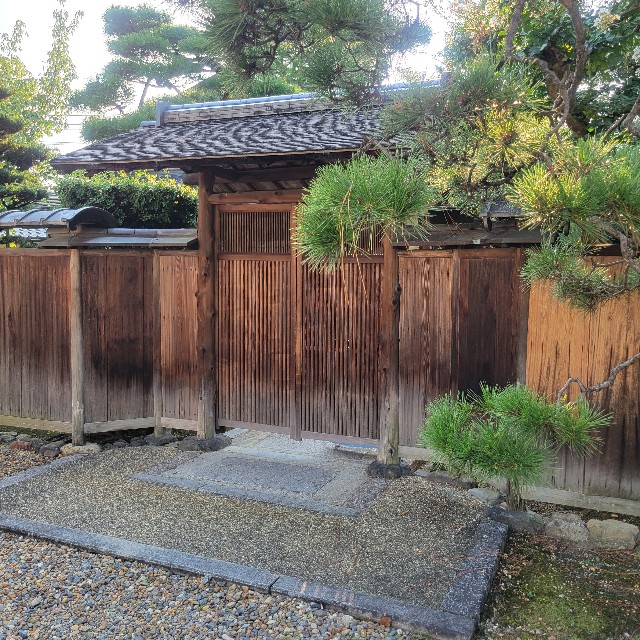 f:id:atoriatoriatori:20240926121938j:image