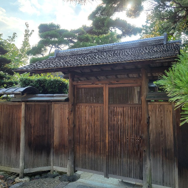 f:id:atoriatoriatori:20240926121946j:image