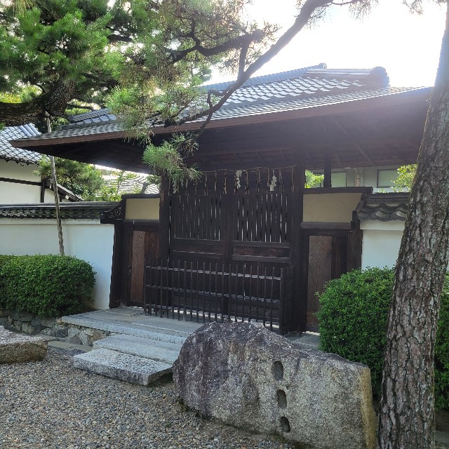 f:id:atoriatoriatori:20240926122143j:image