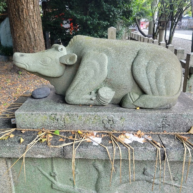 f:id:atoriatoriatori:20240926123253j:image