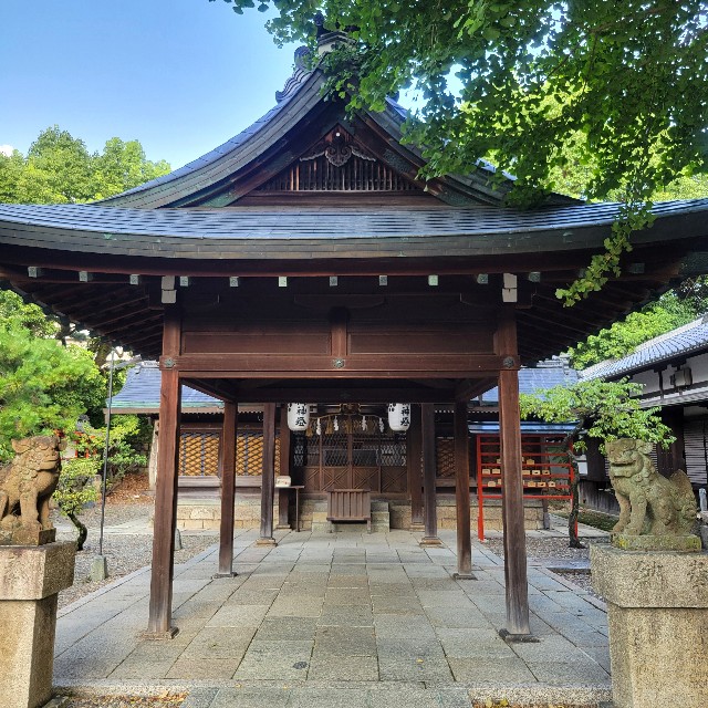 f:id:atoriatoriatori:20240926123300j:image