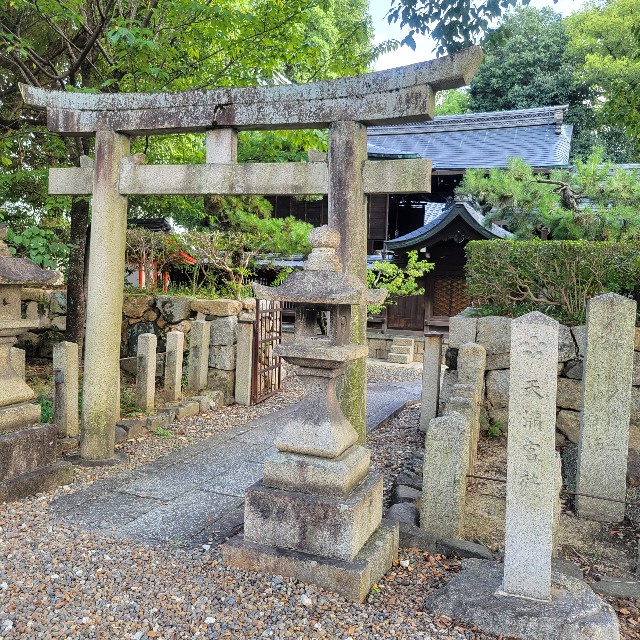 f:id:atoriatoriatori:20240926133510j:image
