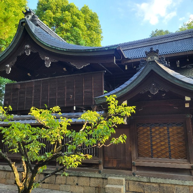 f:id:atoriatoriatori:20240926134032j:image