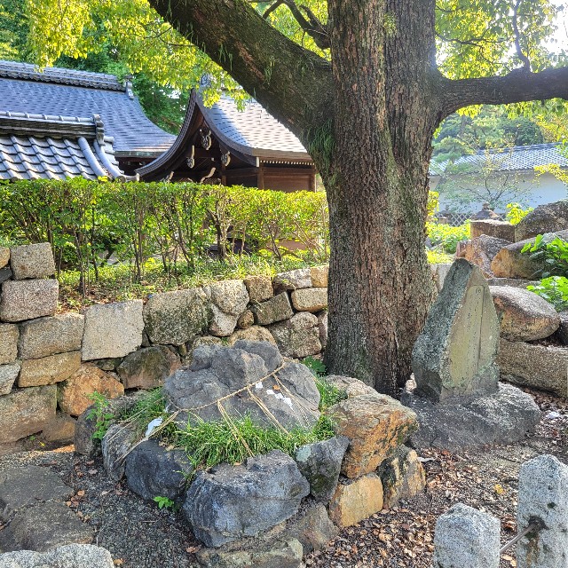 f:id:atoriatoriatori:20240926135155j:image