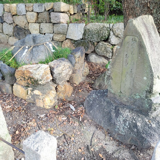 f:id:atoriatoriatori:20240926135202j:image