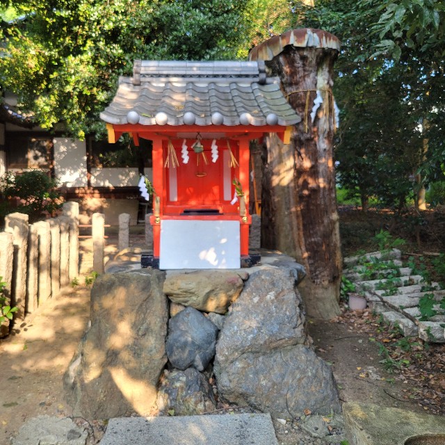 f:id:atoriatoriatori:20240926135209j:image