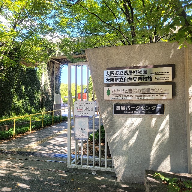 f:id:atoriatoriatori:20240926173359j:image