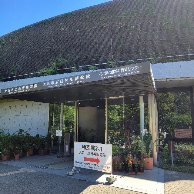 f:id:atoriatoriatori:20240926180903j:image