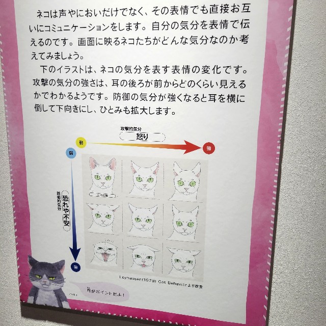 f:id:atoriatoriatori:20240926220610j:image