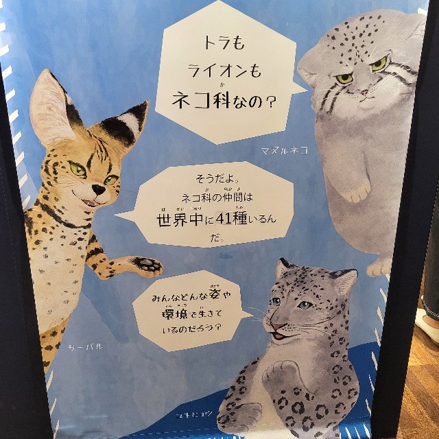 f:id:atoriatoriatori:20240927084731j:image