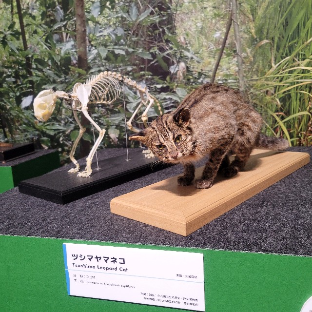 f:id:atoriatoriatori:20240927104026j:image