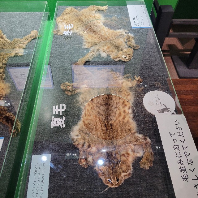 f:id:atoriatoriatori:20240927105110j:image