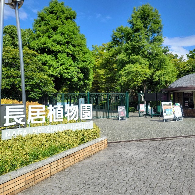 f:id:atoriatoriatori:20240927110602j:image