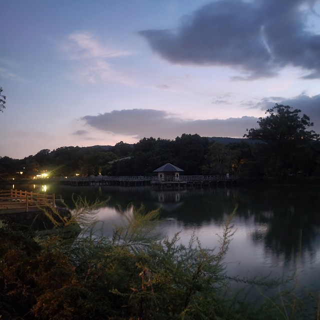 f:id:atoriatoriatori:20240927144830j:image f:id:atoriatoriatori:20240927144830j:image