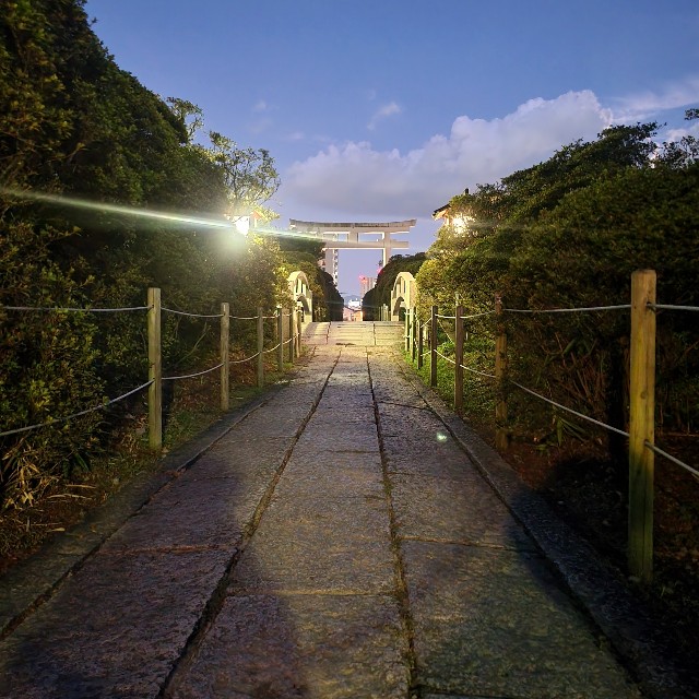 f:id:atoriatoriatori:20240927145238j:image f:id:atoriatoriatori:20240927145238j:image