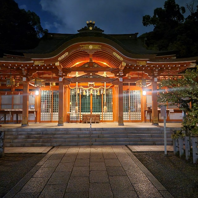 f:id:atoriatoriatori:20240927160523j:image f:id:atoriatoriatori:20240927160523j:image