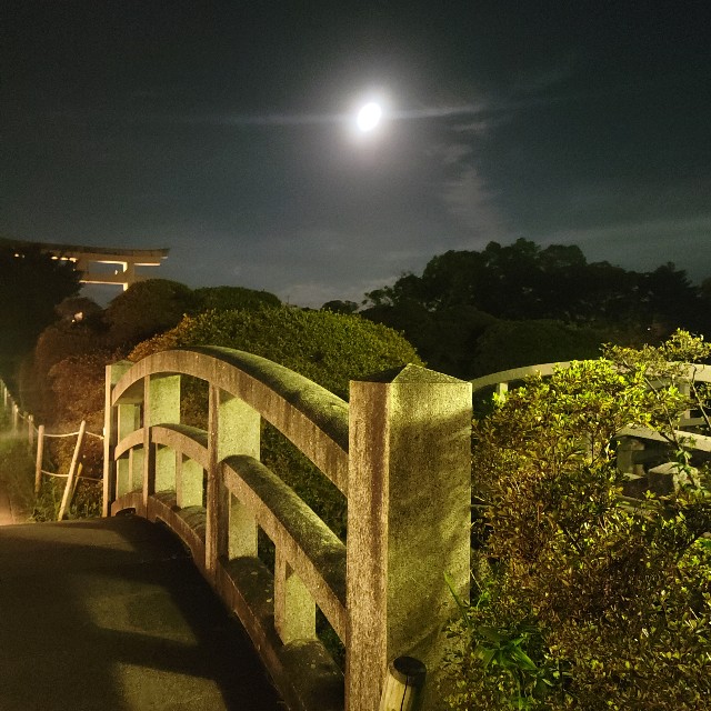 f:id:atoriatoriatori:20240928085545j:image f:id:atoriatoriatori:20240928085545j:image