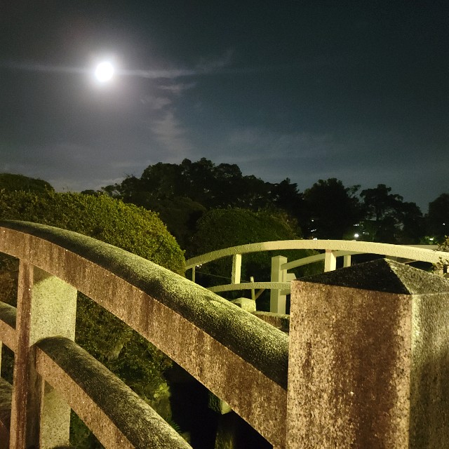 f:id:atoriatoriatori:20240928085554j:image f:id:atoriatoriatori:20240928085554j:image