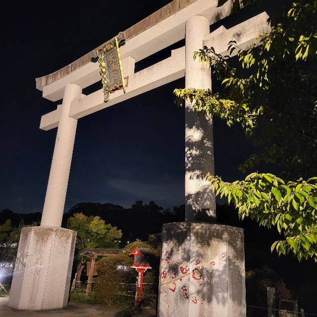 f:id:atoriatoriatori:20240928085610j:image f:id:atoriatoriatori:20240928085610j:image