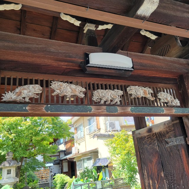 f:id:atoriatoriatori:20240930204107j:image