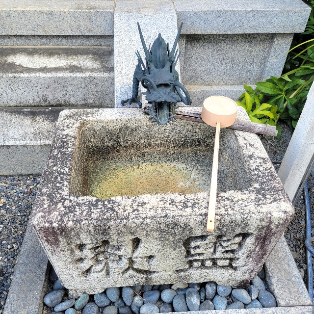 f:id:atoriatoriatori:20241001214514j:image