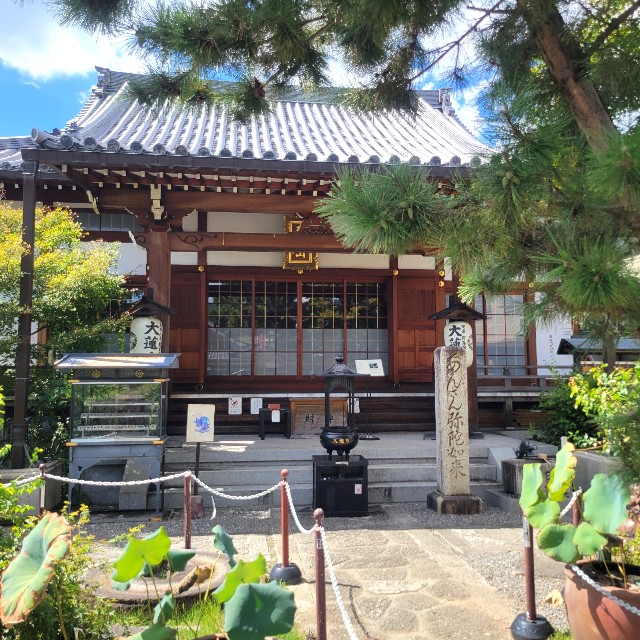f:id:atoriatoriatori:20241002094026j:image